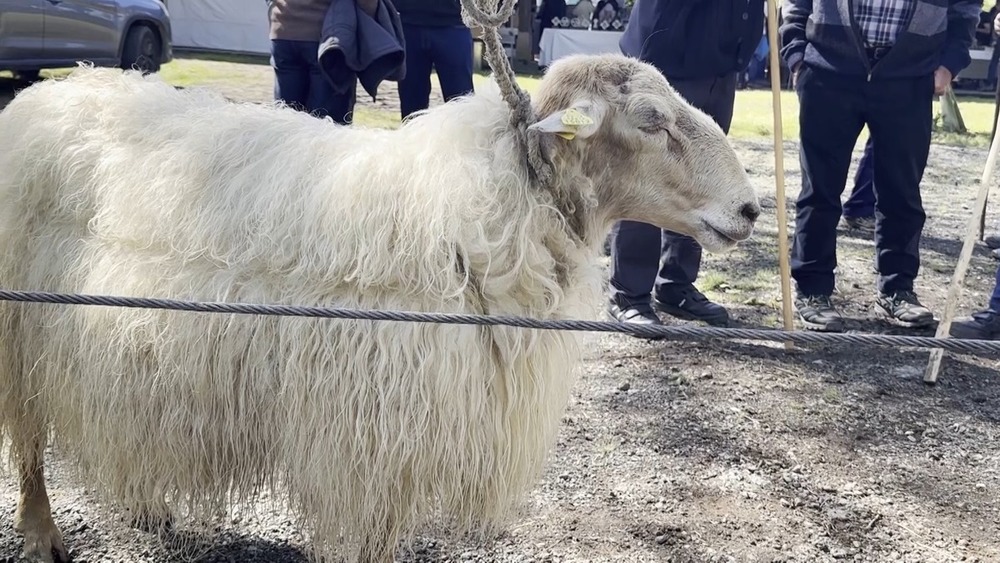 Elizondo acoge una nueva edición de su Feria de Primavera