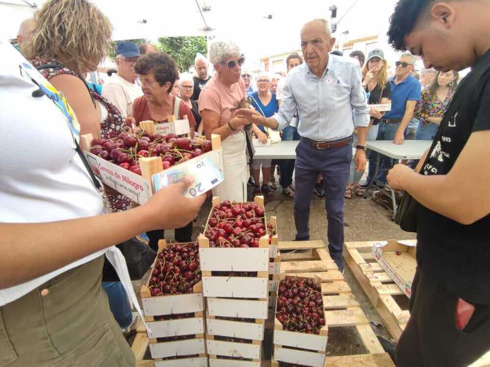 Milagro celebra su tradicional Fiesta de la Cereza