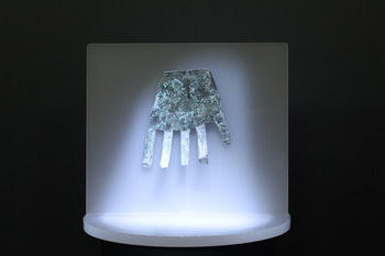 La mano de Irulegui estará protegida en el Museo de Navarra