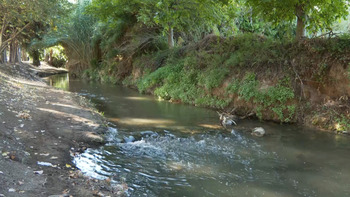 Cae al río Queiles cuando trataba de rescatar a su perro