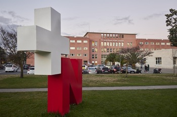 La gripe baja en adultos en Navarra pero sube en niños